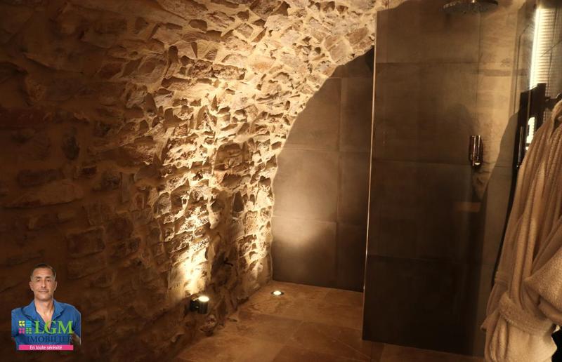 Mas - 397 m² - 14 pièces