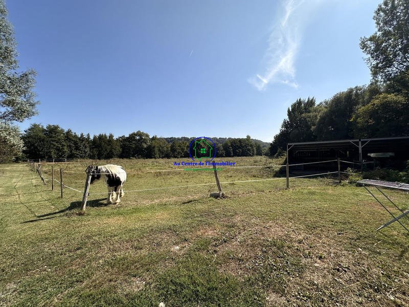 Moulin - 322 m² - 10 pièces