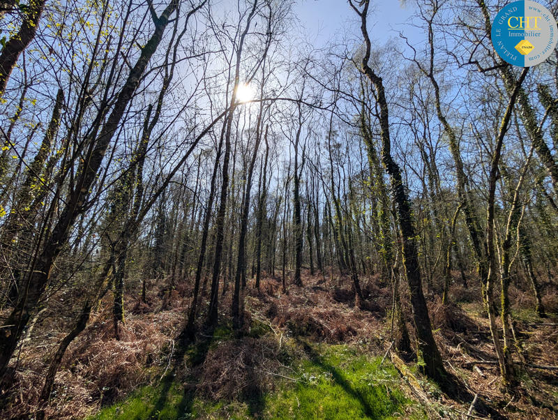 Terrain - 24 900 m²