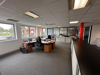 Bureau - 262 m² - 8 pièces