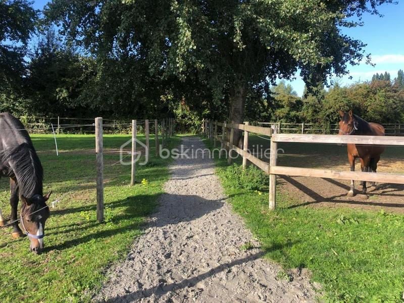 Maison de domaine équestre - 150 m² - 5 pièces