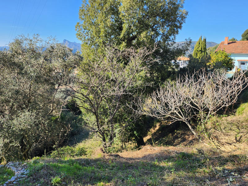 Terrain - 3 830 m²
