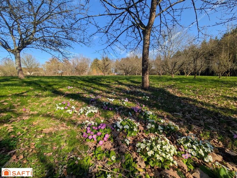 Maison - 250 m² - 9 pièces