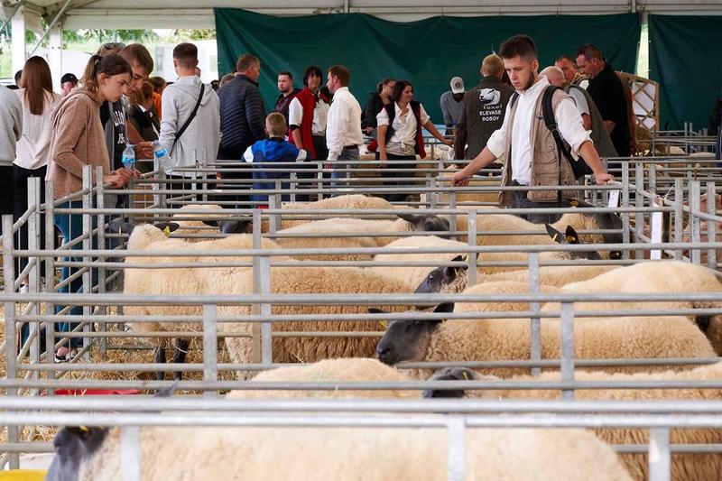 Foire Agricole de Sedan
