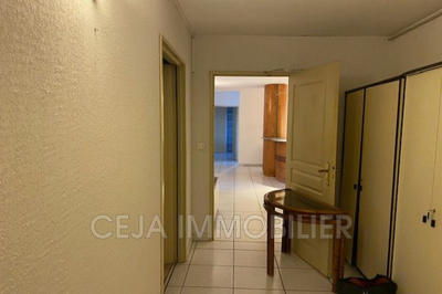 Appartement - 217 m²