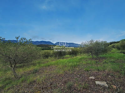 Terrain agricole - 51 314 m²