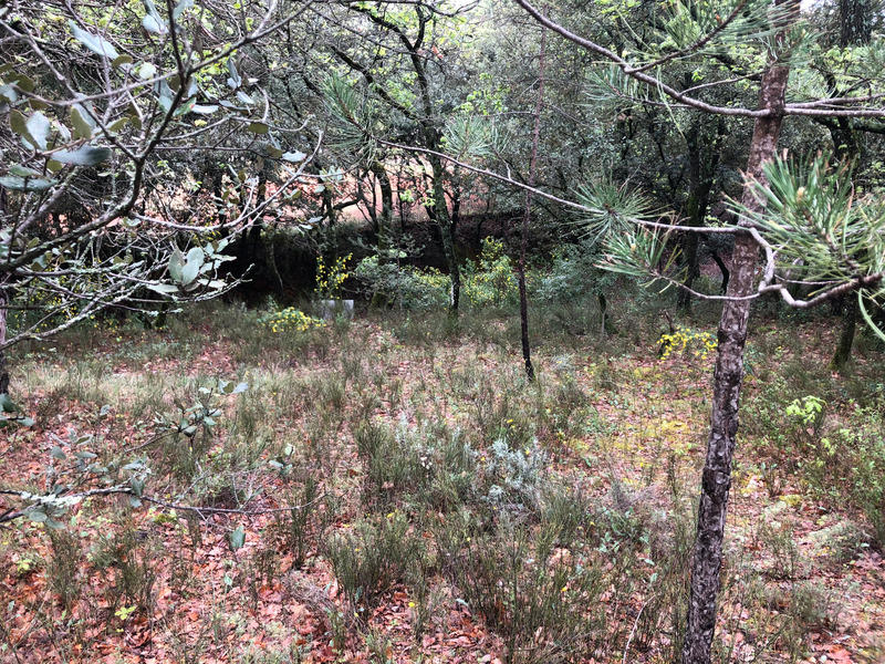 Terrain constructible - 900 m²