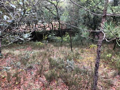 Terrain constructible - 900 m²