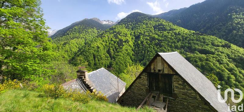 Maison de campagne - 100 m² - 3 pièces