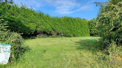Terrain - 1 128 m²