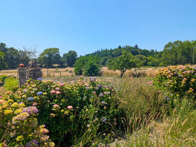 Maison - 135 m² - 7 pièces