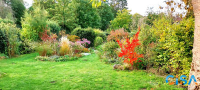 Maison - 80 m² - 5 pièces