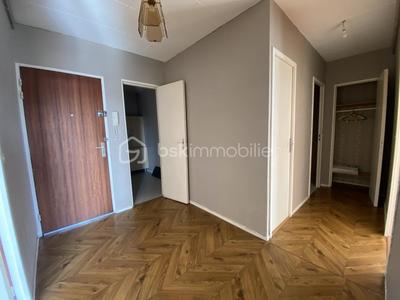 Appartement - 55 m² - 2 pièces