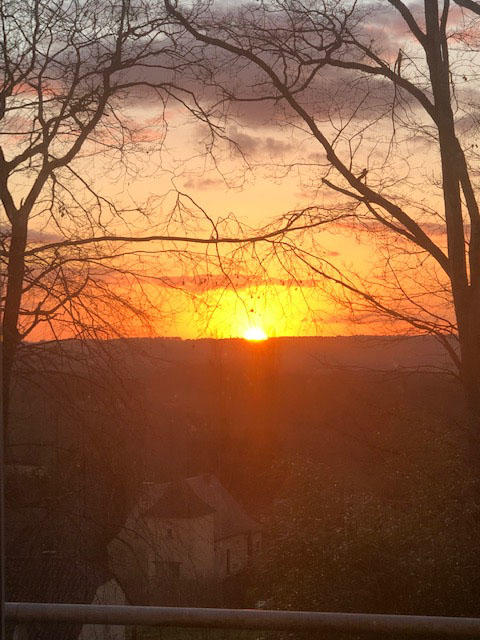 Maison d'architecte - 220 m² - 7 pièces