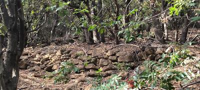 Terrain - 38 170 m²