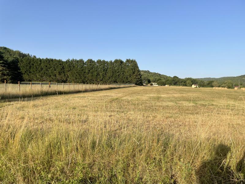 Terrain - 14 935 m²