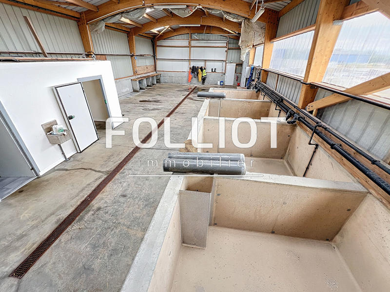 Local d'activité / Entrepôt - 213 m²