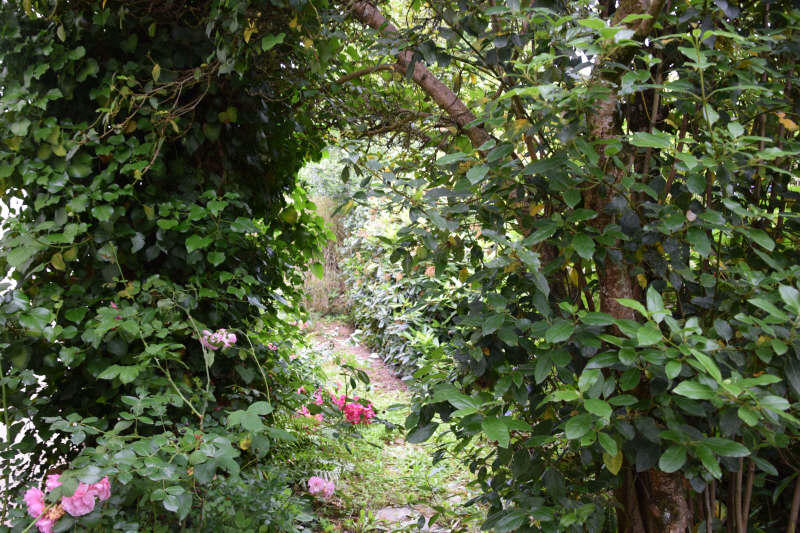 Maison - 70 m² - 4 pièces