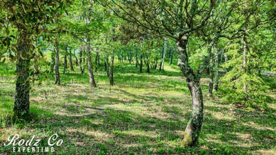 Maison - 90 m² - 3 pièces