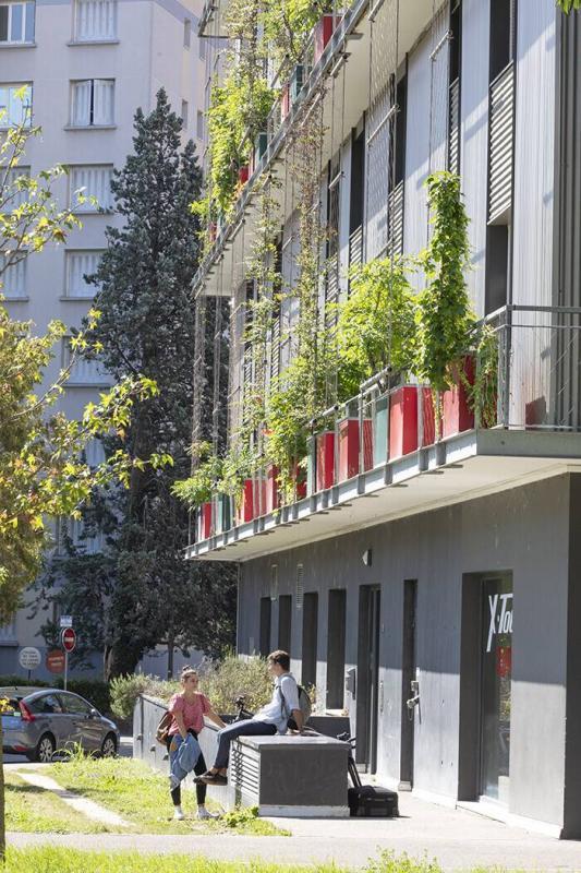 Studio - 18 m² - 1 pièce