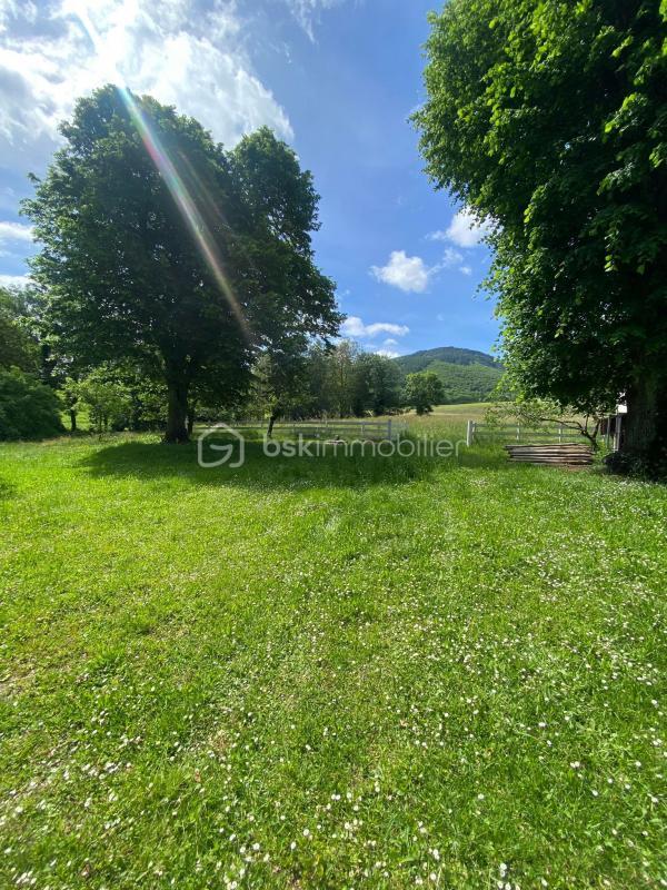 Corps de ferme - 253 m² - 17 pièces