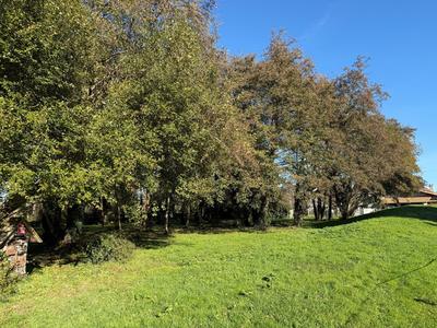 Terrain - 986 m²