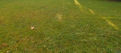 Terrain constructible - 650 m²