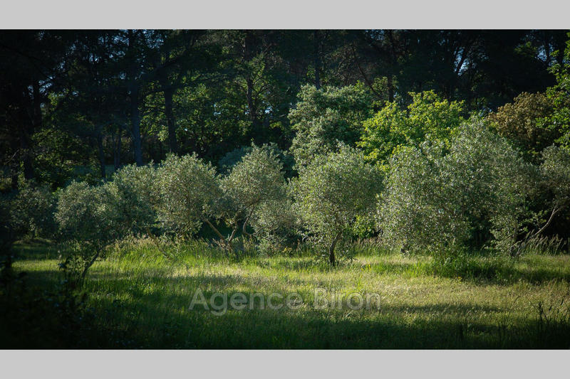 Propriété - 700 m² - 10 pièces