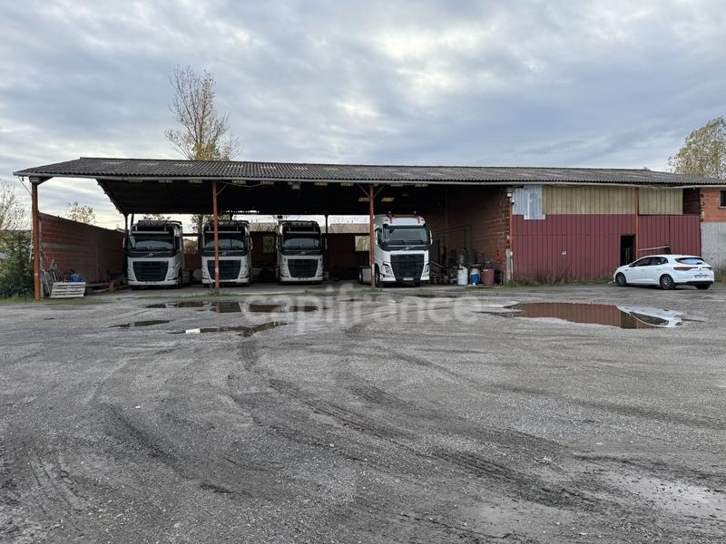 Local d'activité / Entrepôt - 586 m²