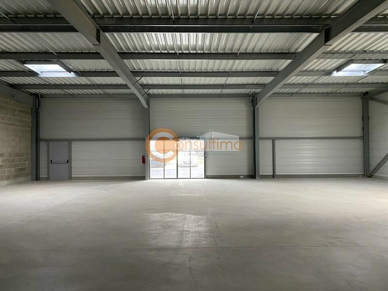 Local commercial - 310 m²