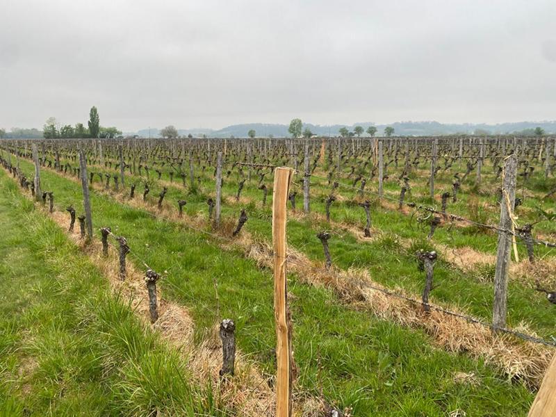 Maison - 313 m² - 8 pièces