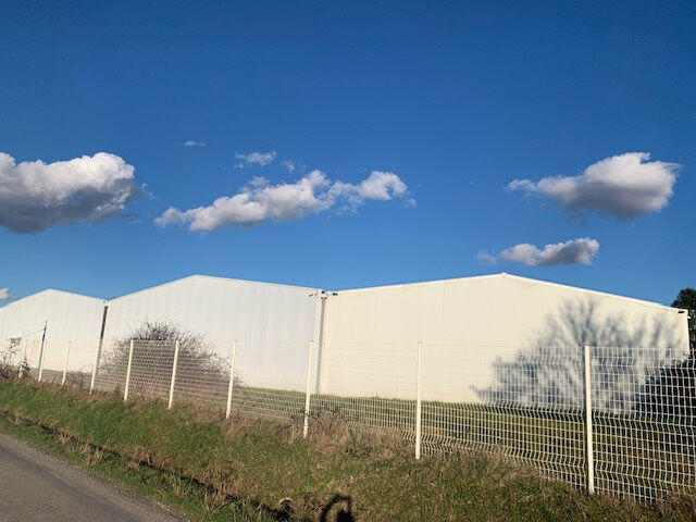 Local commercial - 2 050 m² - 1 pièce