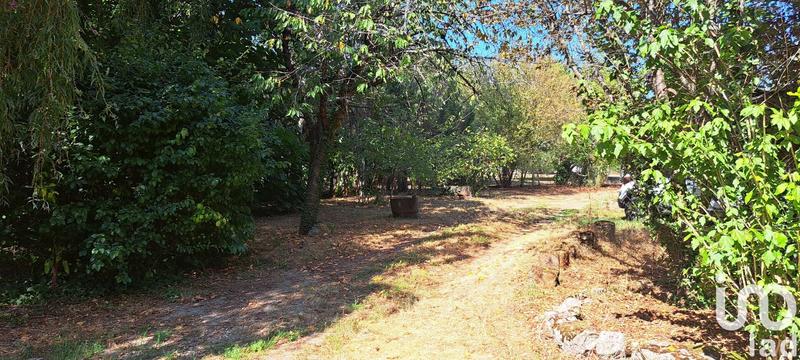 Maison de campagne - 180 m² - 5 pièces