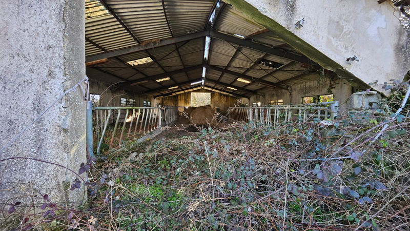 Terrain agricole - 278 467 m²