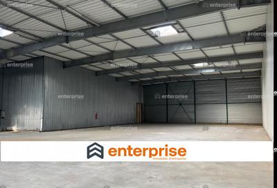 Local d'activité / Entrepôt - 1 210 m²