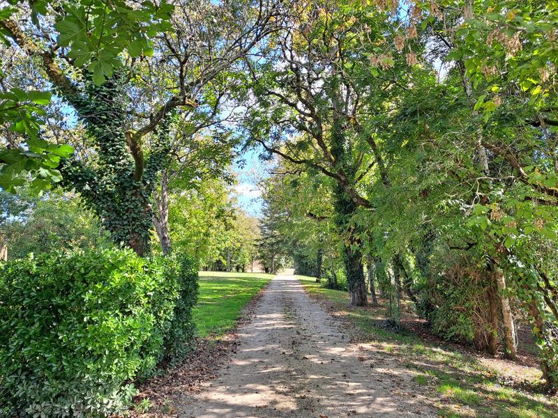 Maison - 220 m² - 8 pièces