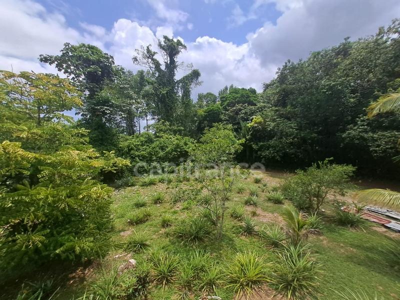 Maison de ville - 166 m² - 6 pièces