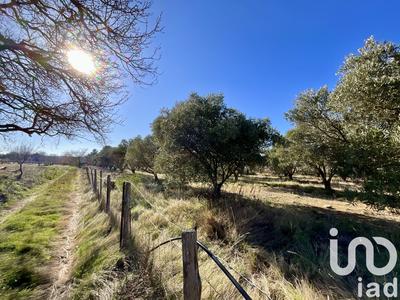 Terrain agricole - 7 264 m²