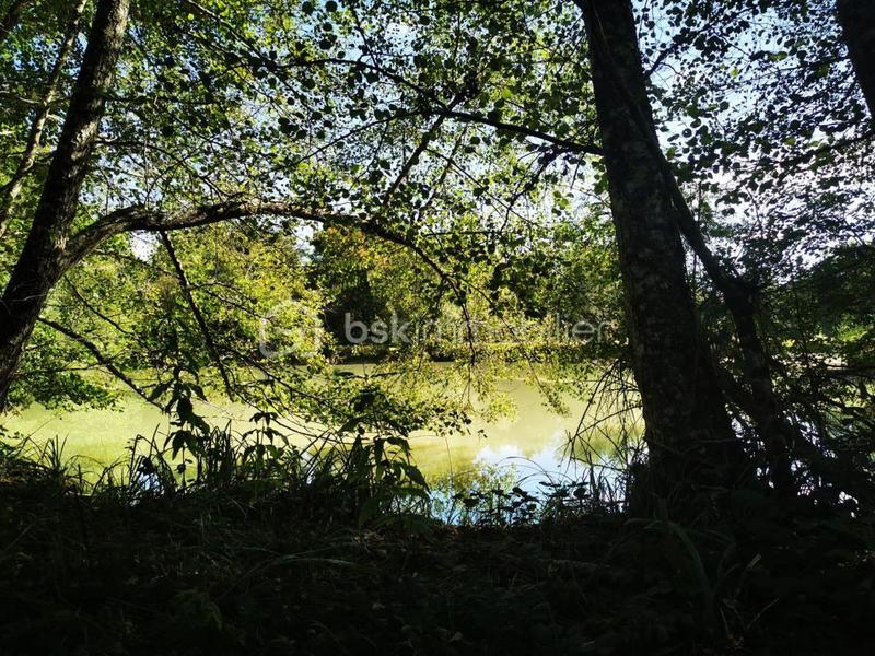 Terrain de loisirs - 26 062 m²