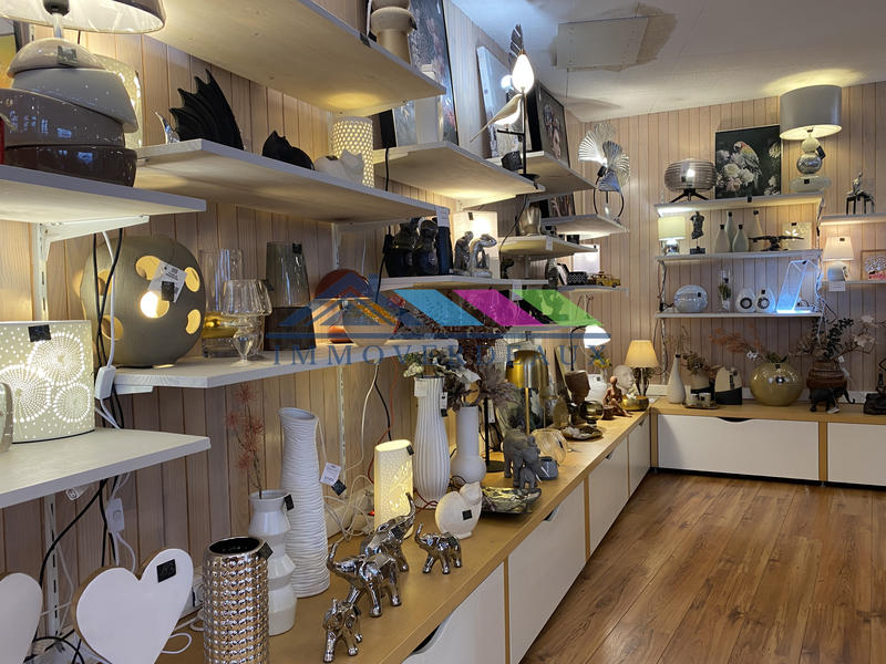 Fonds de commerce - Magasins - 250 m²