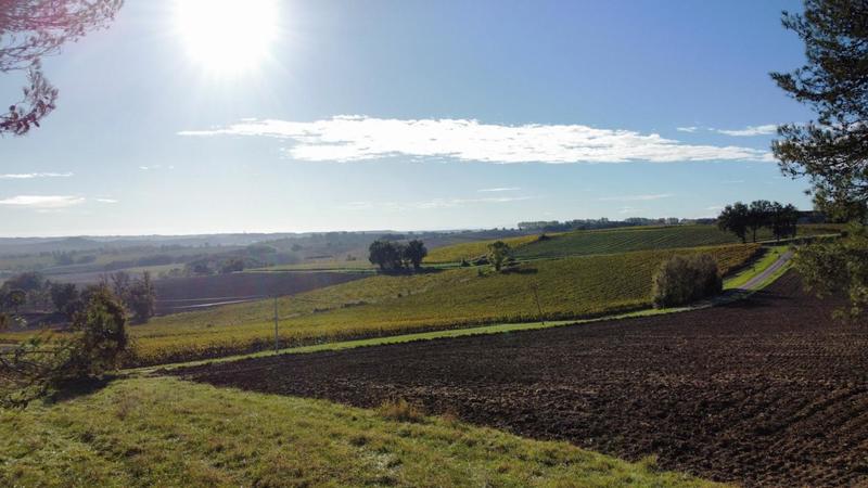 Maison en pierre - 159 m² - 7 pièces