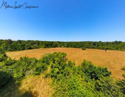 Terrain constructible - 13 200 m²