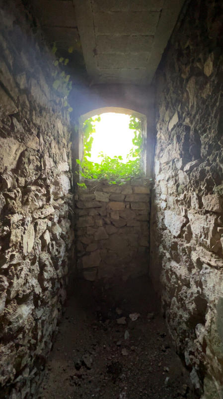 Maison - 330 m² - 5 pièces