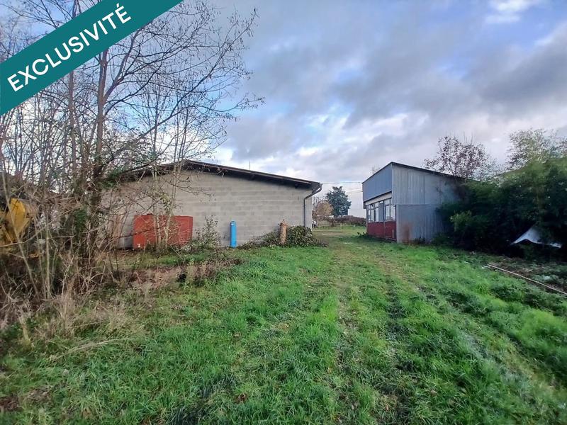 Bureau - 230 m² - 4 pièces