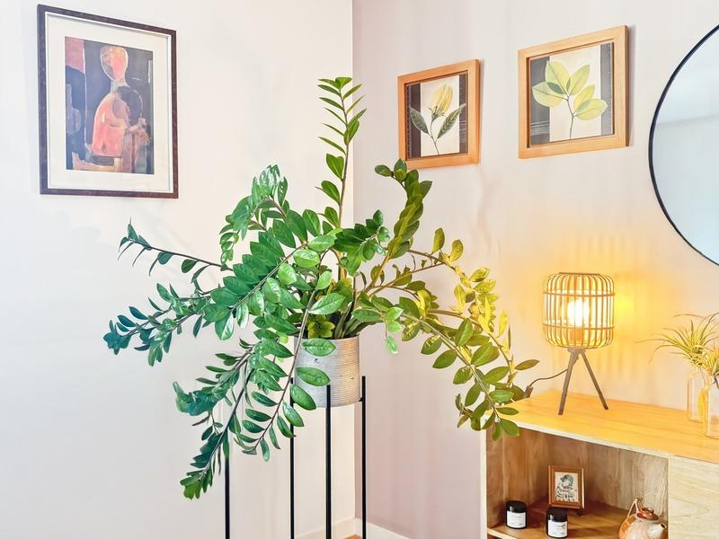 Appartement - 73 m² - 3 pièces