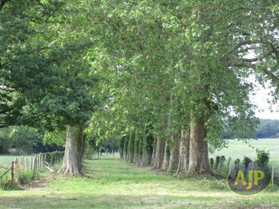 Maison de maîtres - 465 m² - 15 pièces