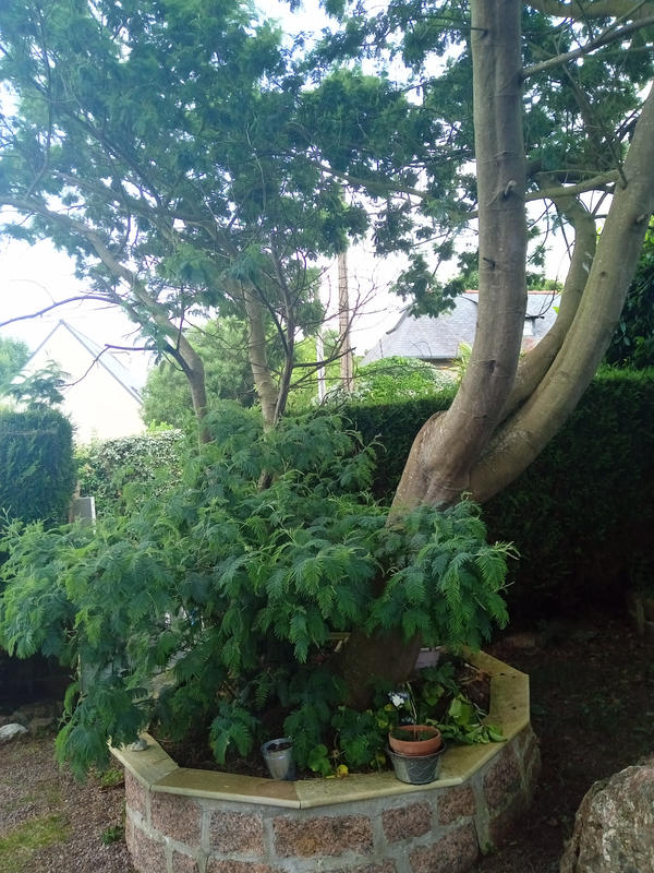 Maison - 80 m² - 3 pièces