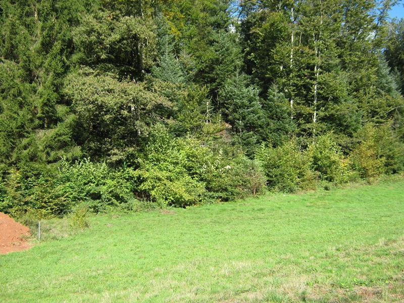 Terrain constructible - 800 m²