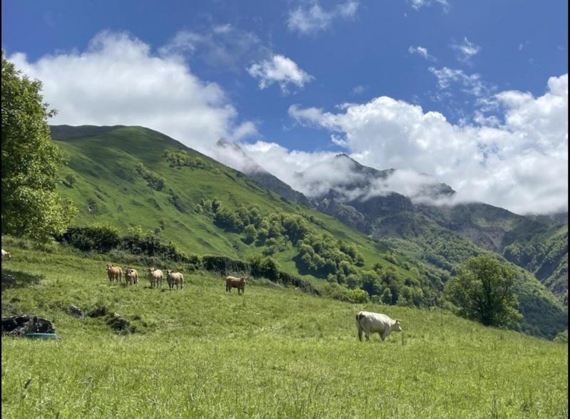 Maison - 67 m² - 5 pièces