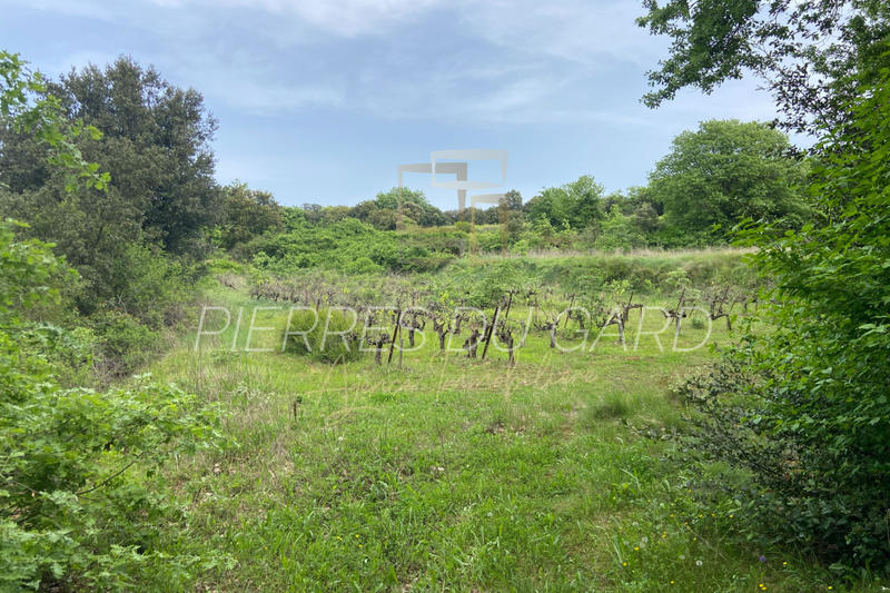 Terrain agricole - 7 770 m²